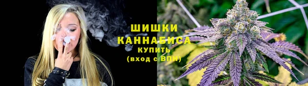 дмт Богородск