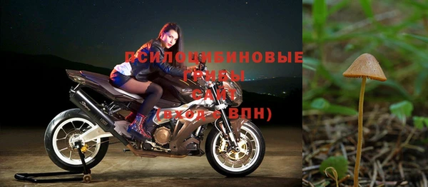 гидропоника Белоозёрский