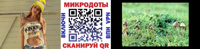 где купить   Волосово  Галлюциногенные грибы ЛСД 